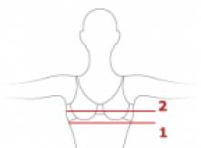 Серьезные и не очень правила, как определить размер груди